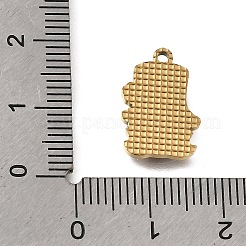 304 Stainless Steel Enamel Pendants&nbsp;SA-CBAA2E4-15G