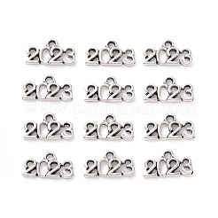 Rack Plating Tibetan Style Alloy Pendants&nbsp;TIBEP-S319-143-RS