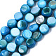 Natural Freshwater Shell Beads Strands&nbsp;SHEL-S276-110B-03-1