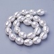 シェルパールビーズ連売り  ねじ山付き楕円  雪  16.5~17.5x13~13.5mm  穴：1mm  約24個/連  15.74インチ〜15.94インチ（40~40.5cm）&nbsp;BSHE-P030-03D-1
