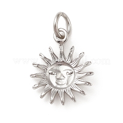 Non-Tarnish 304 Stainless Steel Charms&nbsp;STAS-G295-03P
