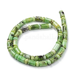 Natural Serpentine Beads Strands&nbsp;G-C074-01