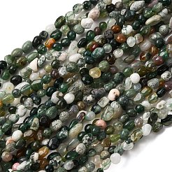 Natural Indian Agate Beads Strands&nbsp;G-I389-A06