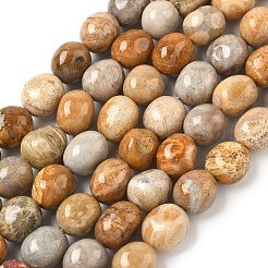 天然化石サンゴのビーズ連売り  ナゲットの転がった石  6.5~15x7~14x7~14mm  穴：1~1.4mm  約32~33個/連  15.16~ 15.75インチ（38.5~40cm）&nbsp;G-C038-02T