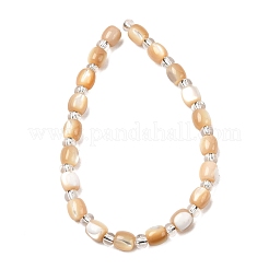 Natural Trochid Shell/Trochus Shell Beads Strands&nbsp;BSHE-A002-01B