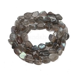 天然石ラブラドライトビーズ連売り  ナゲット  タンブルストーン  8~13x8~10x3~8mm  穴：1mm  約49~50個/連  15.55~15.75''（39.5~40センチメートル）&nbsp;G-Q060-E20-01