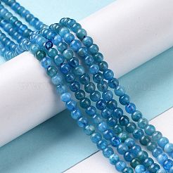 Natural Apatite Beads Strands&nbsp;X-G-D856-01-4mm-A