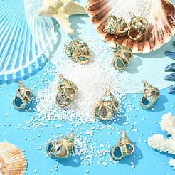 天然貝殻ペンダント5個  金色の鉄製ループが付いた貝殻型のチャーム  ミディアムシーグリーン  34~44x23~32x22~30mm  穴：1.2~2mm&nbsp;SSHEL-YW0001-11