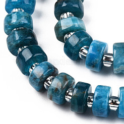 Natural Apatite Beads Strands&nbsp;G-N327-07D