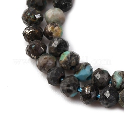 Natural African Turquoise(Jasper) Beads Strands&nbsp;LS-G-RM2025-A25-3mm