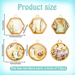 12Pcs 2 Styles Natural Paua Shell Flat Round Hexagon Pendants&nbsp;KK-DR0001-41A