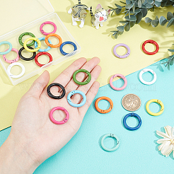 24Pcs 12 Colors Spray Painted Eco-Friendly Alloy Spring Gate Rings&nbsp;FIND-PH0003-35