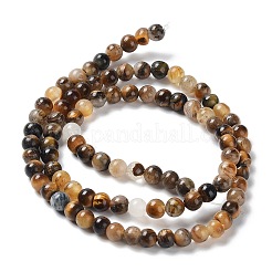 Natural Yellow Tiger Eye Beads Strands&nbsp;G-H238-4mm