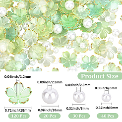 120Pcs Acrylic Bead Caps&nbsp;OACR-PA0002-13C
