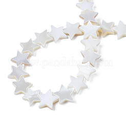 Natural Freshwater Shell Beads Strands&nbsp;SHEL-S278-01B-01