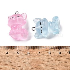 Cute Transparent Resin Pendants&nbsp;RESI-S020-03P