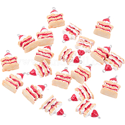 20Pcs Opaque Resin Pendants&nbsp;RESI-SC0036-49