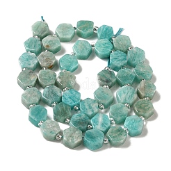 Natural Amazonite Beads Strands&nbsp;G-P534-A07-02