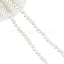 Shell Pearl Beads Strands&nbsp;SHEL-WH0001-009A