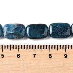天然石アパタイトビーズ連売り  長方形  14.5x10x5mm  穴：1mm  約28個/連  15.75''（40センチメートル）&nbsp;G-Q026-B01-02