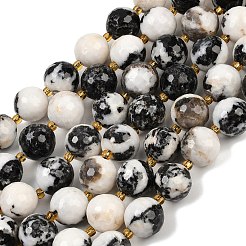 Natural Zebra Jasper Beads Strands&nbsp;G-C249-A15-16mm