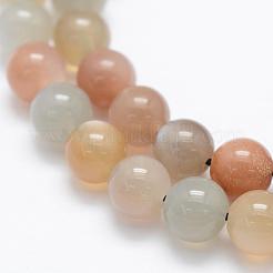 Natural Multi-Moonstone Beads Strands&nbsp;G-P322-43-8mm