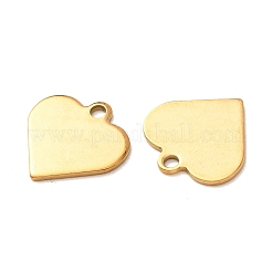 Ion Plating(IP) 304 Stainless Steel Charms&nbsp;STAS-D431-27G