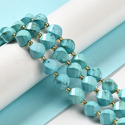 Dyed Natural Howlite Beads Strands&nbsp;G-G023-B01-01B