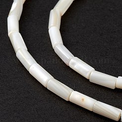 天然淡水貝殻染めビーズ連売り  コラム  貝殻色  8x4mm  穴：0.8mm  約46個/連  14.96''（38センチメートル）&nbsp;SHEL-M018-11-12
