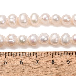 Natural Cultured Freshwater Pearl Beads Strands&nbsp;PA-CBABE82-15D