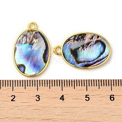 天然パウアシェルペンダント  真鍮のパーツが付いた楕円形のチャーム  ゴールドカラー  23x15x2.5mm  穴：1.8mm&nbsp;KK-E059-11G