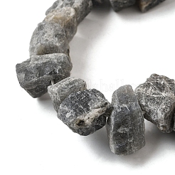 Natural Labradorite Beads Strands&nbsp;G-S386-B04