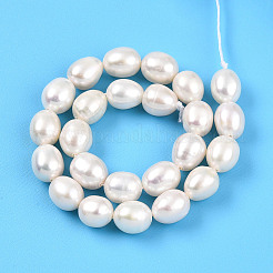 天然養殖淡水パールビーズ連売り  ライス  乳白色  7~7.5x6~6.5mm  穴：0.5mm  約49~50個/連  14.17~14.37''（36~36.5センチメートル）&nbsp;PEAR-N012-06Z