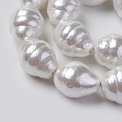 Shell Pearl Beads Strands&nbsp;BSHE-O018-03