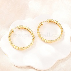 Brass Micro Pave Cubic Zirconia Hoop Earrings&nbsp;EJEW-P346-08G-01