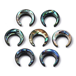 天然アワビシェル/パウアシェルビーズ  三日月  13x13x3mm  穴：0.8mm  約6個/袋&nbsp;SSHEL-N034-122B-01