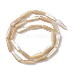 Natural Trochus Shell Beads&nbsp;PEAR-B002-01B-B