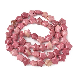 Natural Rhodonite Star Beads Strands&nbsp;G-Z080-A07