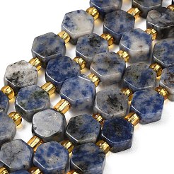 Natural Blue Spot Jasper Beads Strands&nbsp;G-F833-B16-01