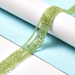 天然石ペリドットビーズ連売り  多面カット  キューブ  2.5x2.5x2.5mm  穴：0.7mm  約170個/連  15.35''（39センチメートル）&nbsp;G-D467-A11