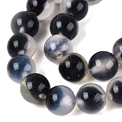 Natural Agate Beads Strands&nbsp;G-Q606-42B-B01