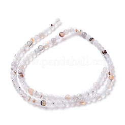 Natural Dendritic Agate Beads Strands&nbsp;G-I261-B03-4mm