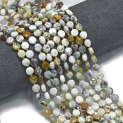 Natural White African Opal Beads Strands&nbsp;G-K389-B23-01