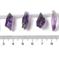 Natural Amethyst Beads Strands&nbsp;G-Q023-B02-01