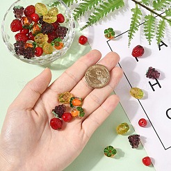 10Pcs Handmade Lampwork Beads&nbsp;LAMP-YW0001-40