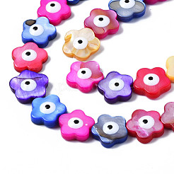 Natural Freshwater Shell Beads Strands&nbsp;SHEL-S278-015