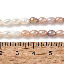 Natural Cultured Freshwater Pearl Beads Strands&nbsp;PEAR-C004-14B