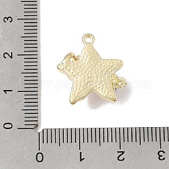 Alloy Resin Pendants&nbsp;FIND-E062-01