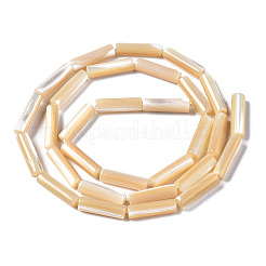 Natural Trochid Shell/Trochus Shell Beads Strands&nbsp;X-SSHEL-S266-020B-03