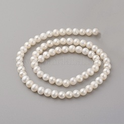 天然養殖淡水パールビーズ連売り  ラウンド  古いレース  5~6x5.5~6mm  穴：0.5mm  約60~61個/連  14.37~14.57インチ（36.5~37cm）&nbsp;PEAR-G007-19